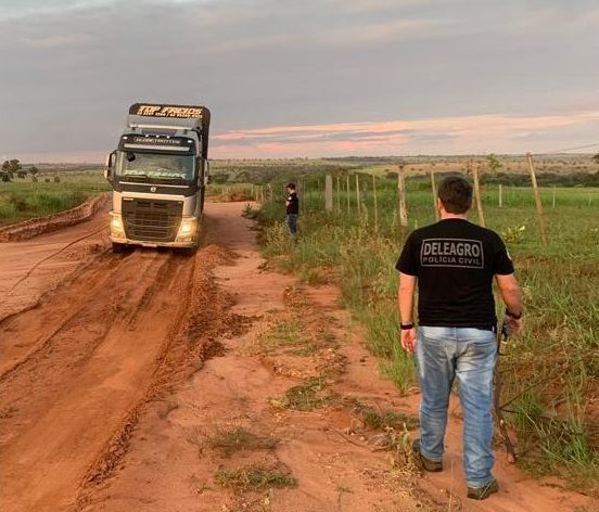 Polícia Civil recupera gado roubado em propriedade rural de Cassilândia