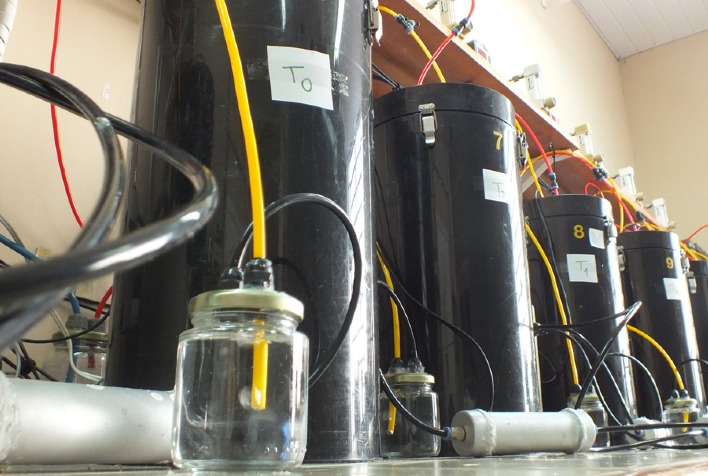 Sistema inédito de biorreatores monitora processos de compostagem em laboratório