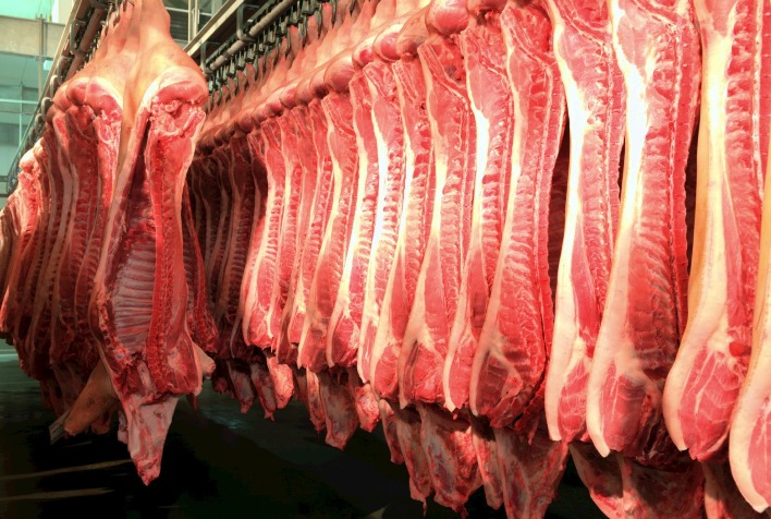 Abate de suínos cai em Mato Grosso e IBGE constata altos custos de produção