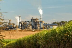 Açúcar: StoneX eleva safra 23/24 do Centro-Sul para quase 600 mi de t e mercado cai quase 1%