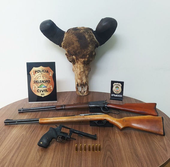 Polícia Civil apreende armas ilegais e prende o autor em flagrante