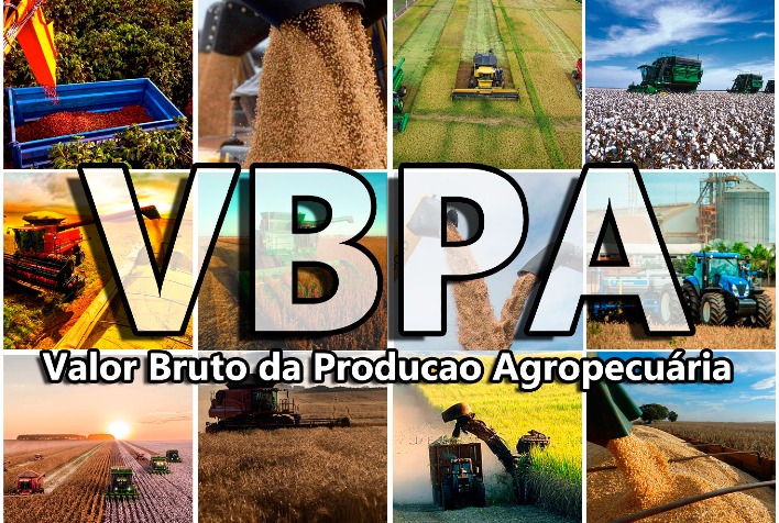 Valor da Produção Agropecuária de 2023 deve ser de R$ 211 bilhões