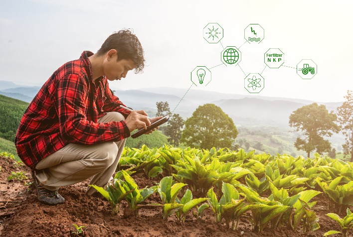 Agricultura digital gera demanda por profissionais qualificados
