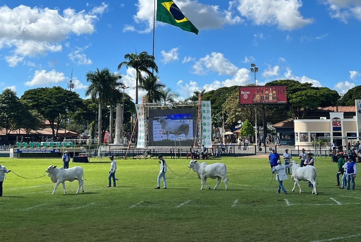 88ª Expozebu acontece em Uberaba (MG), de 29 de abril a 7 de maio