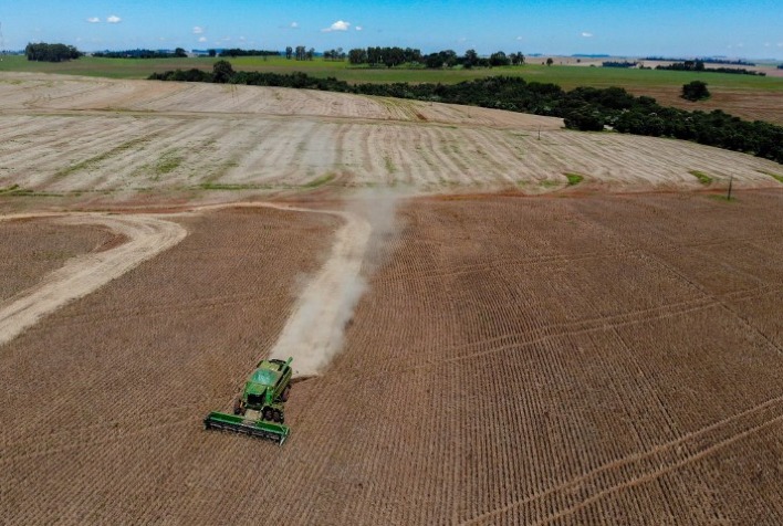 Colheita de feijão avança no Paraná e a expectativa é de aumento na produção