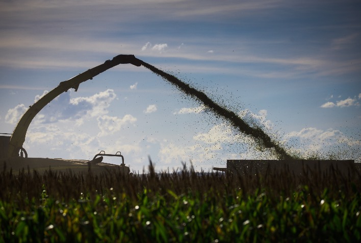 Começa colheita da segunda safra em Mato Grosso