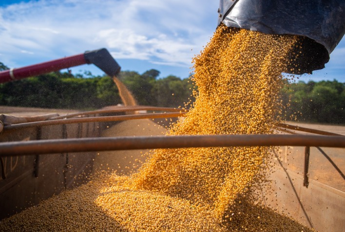 Comercialização da soja brasileira safra 2022/23 chega a 51,6% da produção esperada, aponta DATAGRO Grãos