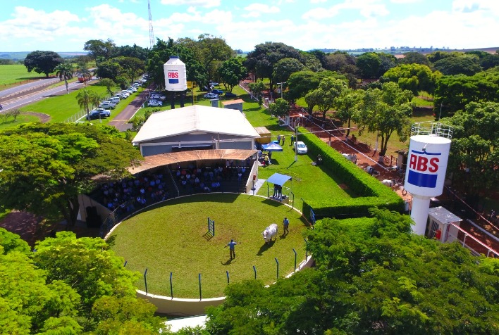 Desfile de touros revela tendências genéticas para raças zebuínas de corte