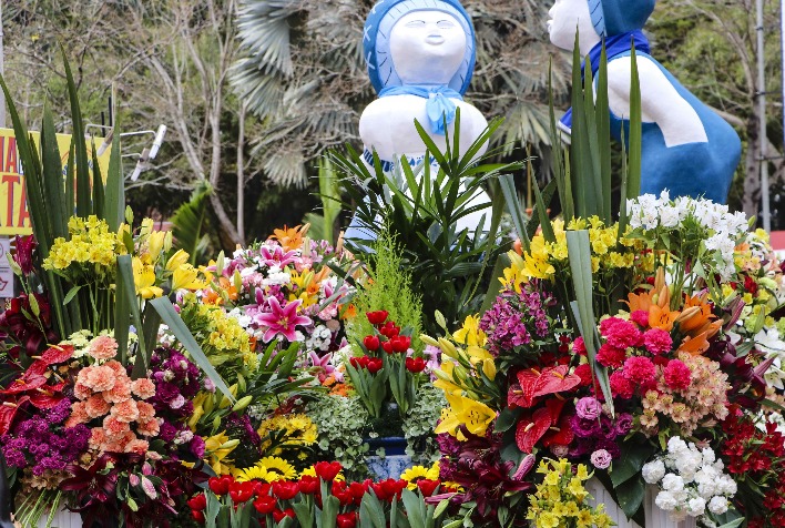 Holambra – sede da Expoflora, traz as principais tendências em flores e plantas para o “Dia das Mães” – uma das principais datas do segmento