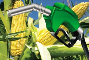 Milho já representa 17% do etanol produzido no Brasil