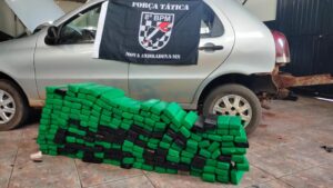 Operação Hórus – Polícia Militar do 8º BPM prende duas pessoas por tráfico de drogas e 137 quilos de maconha 