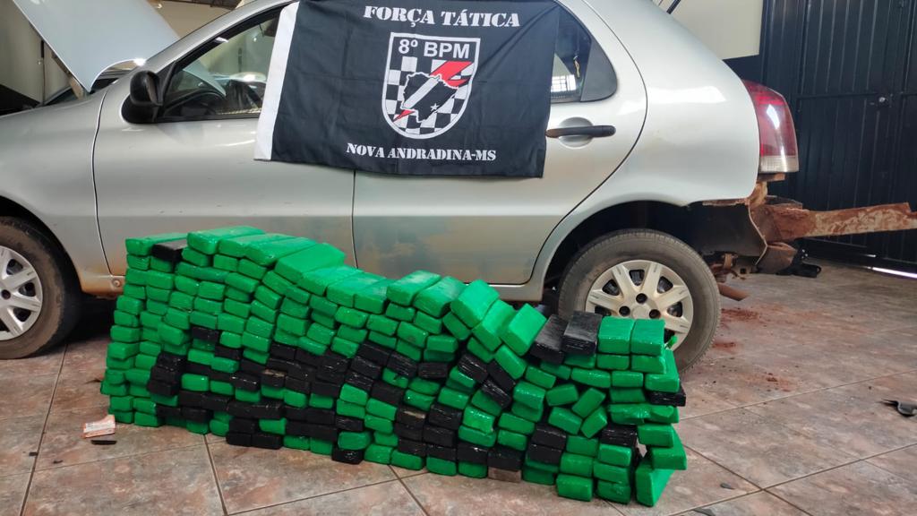 Operação Hórus – Polícia Militar do 8º BPM prende duas pessoas por tráfico de drogas e 137 quilos de maconha 