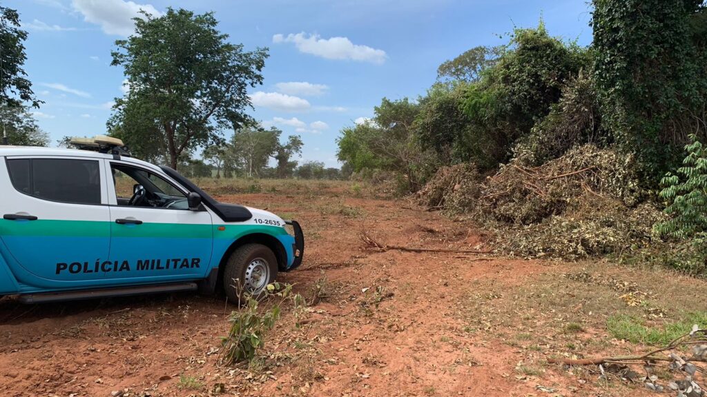 PMA de Batayporã autua comerciante em R$ 30 mil por derrubada de árvores de grande porte em área protegida de reserva legal e limpeza de vegetação para criação de gado