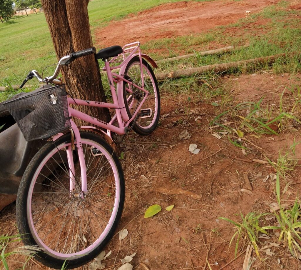 Polícia Civil recupera bicicleta furtada em Taquarussu