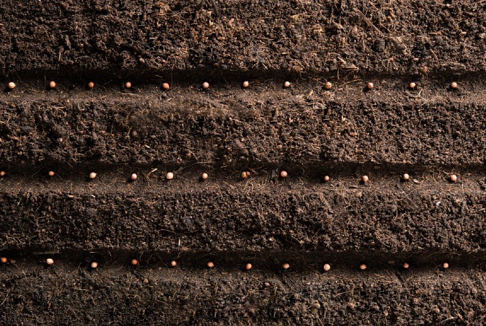 Sensor de plantio para sementes graúdas é lançado na Agrishow
