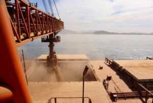 Brasil deve embarcar até 13,850 mi de t de soja em junho, aponta ANEC