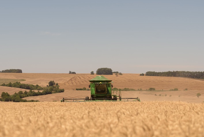 Coceral reduz projeção para safra de grãos da UE em razão do clima seco