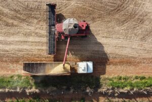 Com baixa cotação, comercialização da safra recorde de soja ainda está lenta no Paraná