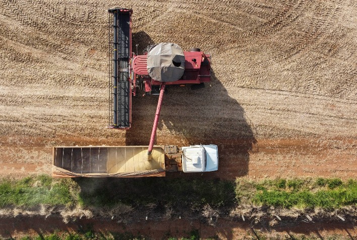 Com baixa cotação, comercialização da safra recorde de soja ainda está lenta no Paraná