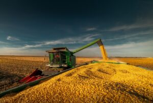 Comercialização da safrinha 2023 de milho atinge 27,5% no Brasil, diz SAFRAS