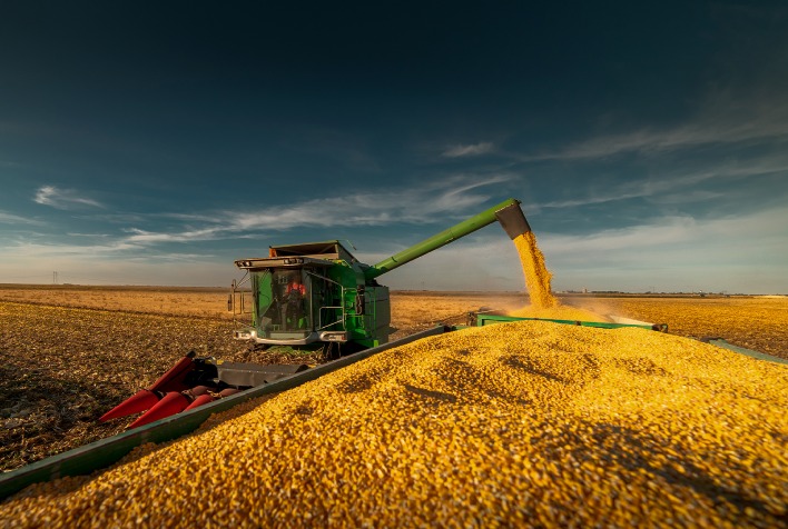 Comercialização da safrinha 2023 de milho atinge 27,5% no Brasil, diz SAFRAS
