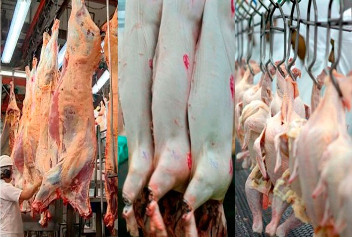 Cresce o abate de bovinos, frangos e suínos no 1º tri de 2023