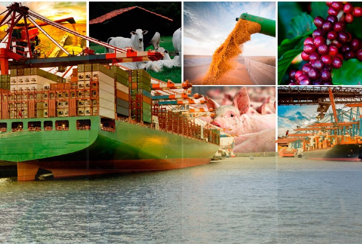 Exportações do agronegócio mineiro alcançam US$ 5,8 bilhões no período de janeiro a maio