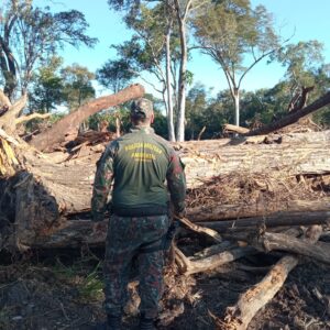 PMA de Porto Murtinho autua homem por exploração ilegal de vegetação nativa