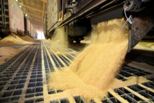 Porto de Paranaguá registra aumento de transporte de cargas por ferrovia em maio