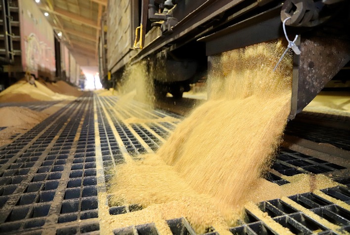 Porto de Paranaguá registra aumento de transporte de cargas por ferrovia em maio