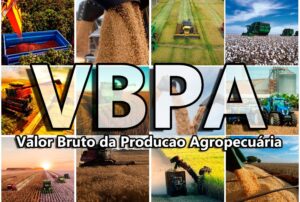 VBP: Valor Bruto da Produção Agropecuária do Paraná cresce 6% em 2022 e alcança R$ 191 bilhões