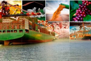 Exportações do agronegócio batem recorde no semestre com alta de 4,5%