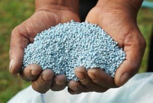 Índice de Poder de Compra de Fertilizante registra um dos melhores níveis dos últimos dois anos 
