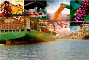 BALANÇA COMERCIAL: Exportações do agronegócio batem recorde para os meses de agosto: US$ 15,63 bilhões