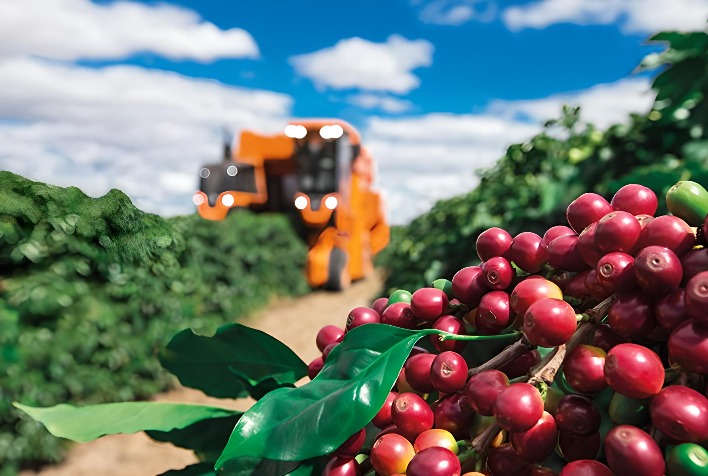 Alta do café em NY pode beneficiar preços domésticos