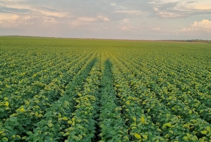 Com garantia de IPA, índice de vigor da ATTO, de 96% a 100%, ATTO EVO é lançada para a agricultura brasileira