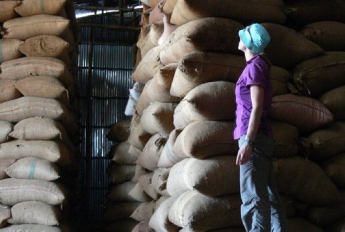 Comercialização da safra 2023/24 de café segue bem cadenciada pelo produtor brasileiro