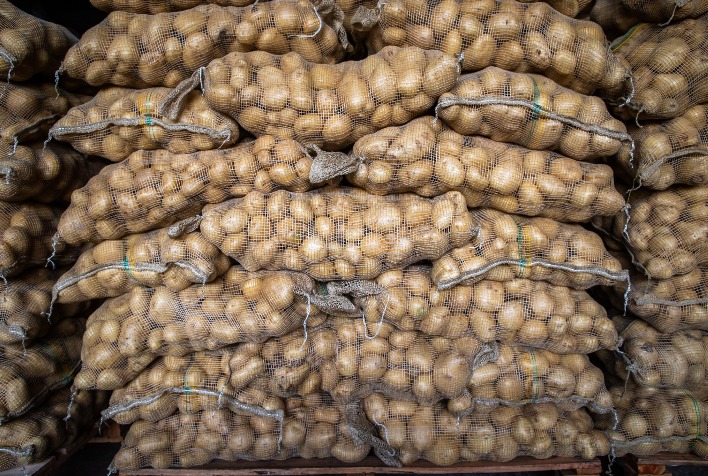 Conab inclui a batata entre os produtos contemplados pela PGPAF em outubro