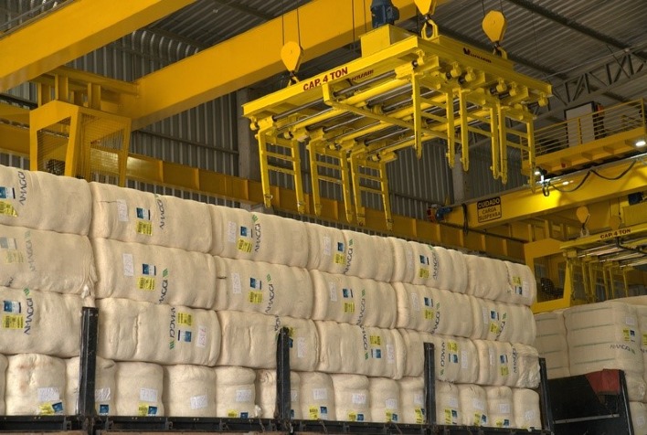 Mato Grosso tem novo recorde na exportação de algodão