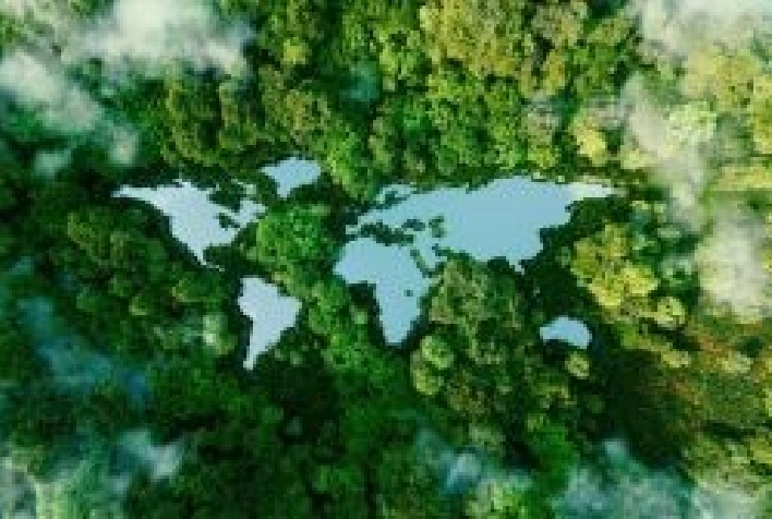 Regulação do mercado de carbono é ferramenta para oferecer previsibilidade e destravar investimentos importantes, afirma especialista