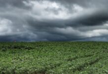 Estado do Paraná e municípios levantam os efeitos da chuva nas lavouras e estradas rurais