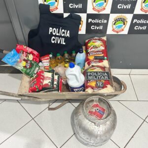 Ação conjunta entre as Polícias Civil e Militar resulta na prisão de autor de furto, em Camapuã