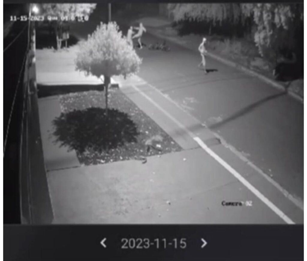Homem que agrediu idoso para roubar celular é preso pela Polícia Civil em Dourados