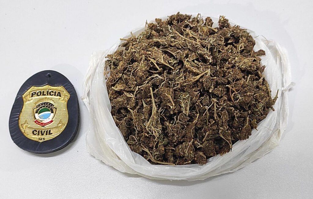 Polícia Civil prende em flagrante homem por tráfico de drogas na cidade de Paranhos