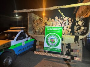 PMA de Miranda apreende carga ilegal de aroeira
