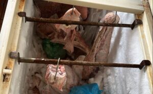 Polícia Civil fiscaliza oito estabelecimentos e uma chácara, apreende uma caixa de cigarros paraguaios e 200 quilos de carne imprópria para consumo em Campo Grande