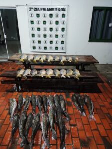 PMA de Corumbá apreende pescado irregular e petrechos proibidos