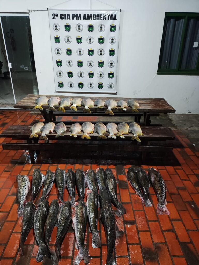 PMA de Corumbá apreende pescado irregular e petrechos proibidos